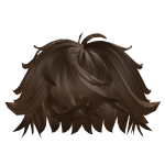 Swept Fluffy Messy Brown Hair