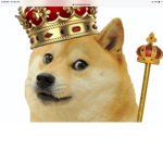 DoggoROCK Like wolfs