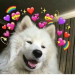 ~+*sugar bbyz*+~