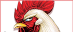 Chicken duck fan club