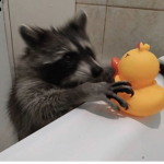 BreakAKneeBrooo