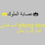 *THE BFF*