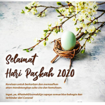 Pekhq group