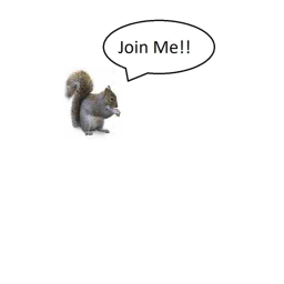 Go Squirrel Hunting With DatOregonBoi
