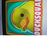 RIP TehDucksquad