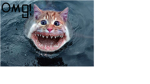 people who like ROBLOX r awesome