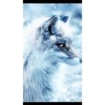 The blue foxes group