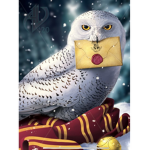 Harry Potter icon