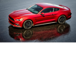 Mustangs fan group