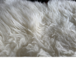 Fluffy fluffy fluffy fluffy fluffy fluffy group