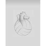 Volleyball_Volley