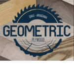 GEOMETRIC PLYWOOD Studios