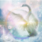 Swan Tribe