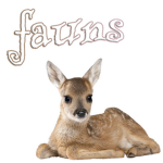 fauns