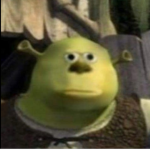 Shreky booboo bear