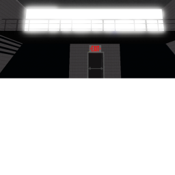 The Complex