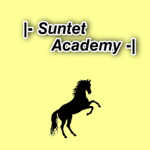 |- Sunset Academy -|