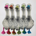 The quacky ducksters