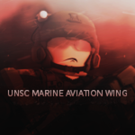 〈 Marine Aviation Wing 〉