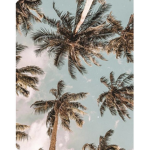 ·ʜsᴍᴛᴍᴛs·