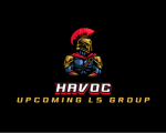 メ Havoc メ