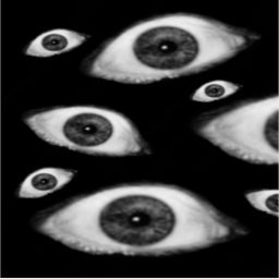 👁
