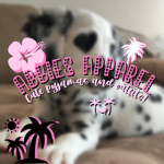 -Abbies apparel-