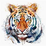 Tiger's freedom