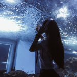 قروب بلاك بينك او كلكم منورين