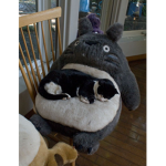 #Dogbone_squad