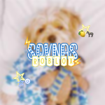 - sam’s clothes -