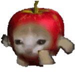 Apple cat 사과 고양이
