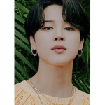 •ARMYS•