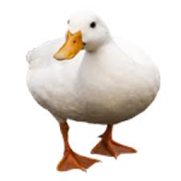 Goose Obby