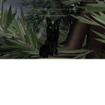 CelestialWolf's Film Crew