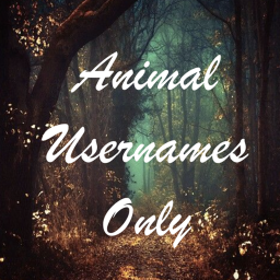 Animal Usernames Only Hangout!