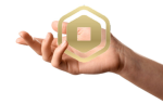 The Funding Programme