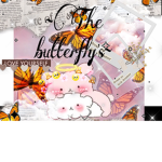 ~The Butterflys~