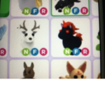 Adopt me pets!!!!!!