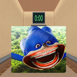 Sonic Tapes Elevator