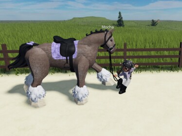 National Equine Competition