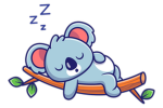 night.flame