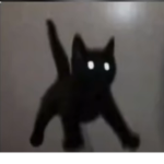 .Cat. .food.