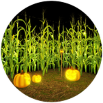 Visited "Corn Maze"