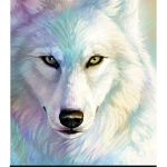 Wolf. pack!!!