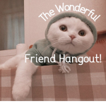 The Wonderful Friend Hangout! :3