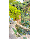 Miya hello