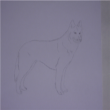 husky drawing for wickedyeti Roblox decal