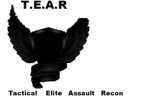 T.E.A.R   (Tactical  elite asult recon)