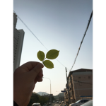 「아연이와 친구들><」